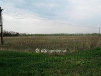 Eladó telek, Röszkén 99.99 M Ft / költözzbe.hu