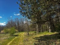 Eladó mezogazdasagi ingatlan, Dabason 120 M Ft