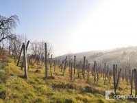 Eladó telek, Zalaegerszegen 0.99 M Ft / költözzbe.hu