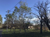 Eladó telek, Gyűrűsön 2.9 M Ft / költözzbe.hu