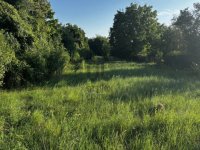 Eladó telek, Balatonkenesén 65 M Ft / költözzbe.hu
