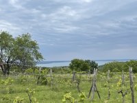 Eladó telek, Balatonalmádiban 24.9 M Ft / költözzbe.hu