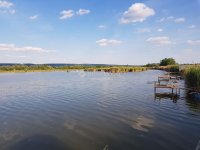 Eladó telek, Balatonbogláron 550 M Ft / költözzbe.hu