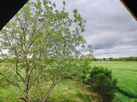Eladó családi ház, Balatonszabadiban 25 M Ft, 2 szobás