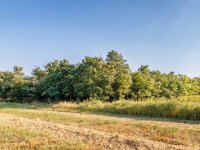 Eladó mezogazdasagi ingatlan, Lovasberényben 5.5 M Ft