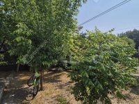 Eladó családi ház, Sülysápon 49.2 M Ft, 4 szobás