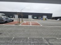 Kiadó üzlethelyiség, Székesfehérvárott 3836 E Ft / hó