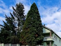 Eladó családi ház, Pécsett 229 M Ft, 8 szobás