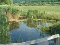 Eladó telek, Felsőtárkányban 15 M Ft / költözzbe.hu