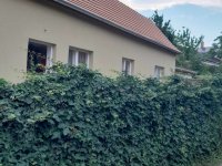 Eladó családi ház, Balatonszepezden 65 M Ft, 3 szobás