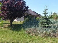 Kiadó családi ház, albérlet, Kecskeméten 550 E Ft / hó