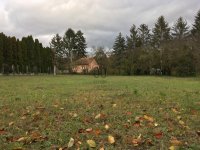 Eladó telek, Kosdon 28.5 M Ft / költözzbe.hu