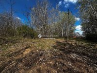 Eladó mezogazdasagi ingatlan, Dabason 120 M Ft