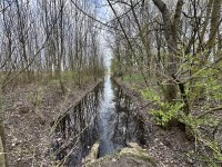 Eladó mezogazdasagi ingatlan, Szeghalmon 37.5 M Ft