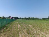 Eladó telek, Helvécián 15.5 M Ft / költözzbe.hu