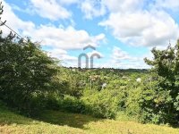 Eladó telek, Budaörsön 55 M Ft / költözzbe.hu
