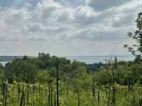 Eladó telek, Balatonalmádiban 48 M Ft / költözzbe.hu