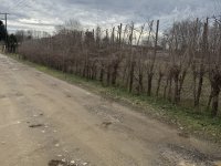 Eladó telek, Nyíregyházán 9 M Ft / költözzbe.hu