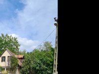 Eladó családi ház, Csolnokon 31.9 M Ft, 1+3 szobás