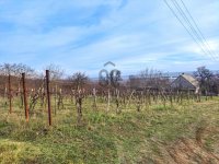Eladó családi ház, Várpalotán 15.9 M Ft, 2 szobás