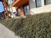 Kiadó téglalakás, albérlet, Tatán 220 E Ft / hó, 2 szobás