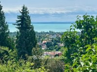 Eladó nyaraló, Csopakon 60 M Ft, 1+2 szobás