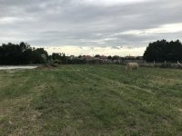Eladó telek, Besnyőn 25 M Ft / költözzbe.hu
