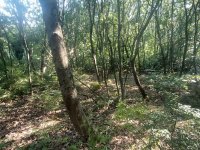 Eladó telek, Érden 84.9 M Ft / költözzbe.hu
