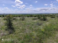 Eladó mezogazdasagi ingatlan, Sóskúton 10.5 M Ft