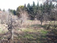 Eladó telek, Diósdon 34.9 M Ft / költözzbe.hu