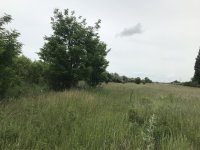 Eladó telek, Székesfehérvárott 18.9 M Ft / költözzbe.hu