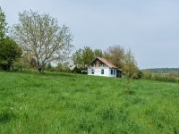 Kiadó családi ház, albérlet, Budakeszin 808 E Ft / hó, 1 szobás