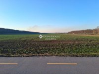 Eladó mezogazdasagi ingatlan, Szirmabesenyőn 1393.757 M Ft