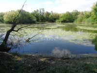 Eladó mezogazdasagi ingatlan, Püspökmolnárin 195 M Ft, 3 szobás