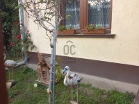 Eladó családi ház, Halásztelken 75 M Ft, 4 szobás