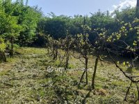 Eladó családi ház, Sajópüspökin 12.2 M Ft, 4+1 szobás