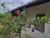 Eladó családi ház, Poroszlón 15 M Ft, 2 szobás