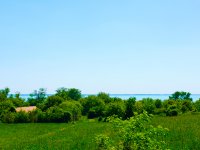 Eladó telek, Badacsonytomajon 65 M Ft / költözzbe.hu