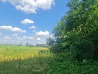 Eladó mezogazdasagi ingatlan, Üllőn 465 M Ft