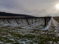 Eladó mezogazdasagi ingatlan, Balatoncsicsón 24.2 M Ft