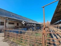Eladó mezogazdasagi ingatlan, Hódmezővásárhelyen 80 M Ft