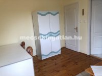 Kiadó téglalakás, albérlet, Pécsett, Atléta utcában, 1 szobás