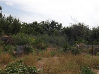 Eladó telek, Perkátán 9 M Ft / költözzbe.hu