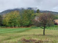 Eladó családi ház, Badacsonytomajon 89.9 M Ft, 4 szobás