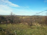 Eladó telek, Balatonalmádiban 5.9 M Ft / költözzbe.hu