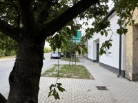 Kiadó téglalakás, albérlet, Esztergomban 160 E Ft / hó