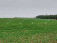 Eladó telek, Hegyhátszentjakabon 10 M Ft / költözzbe.hu