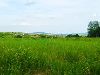 Eladó telek, Csolnokon 19.5 M Ft / költözzbe.hu