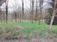 Eladó telek, Csurgón 1.5 M Ft / költözzbe.hu