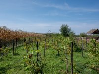 Eladó mezogazdasagi ingatlan, Hajdúszoboszlón 12.5 M Ft